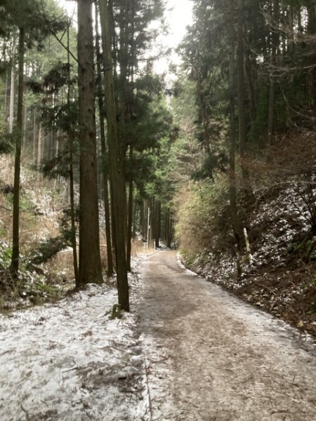 5 大阪金剛山全記錄2711136