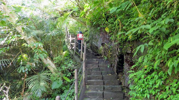 福山部落,內洞森遊區2552350