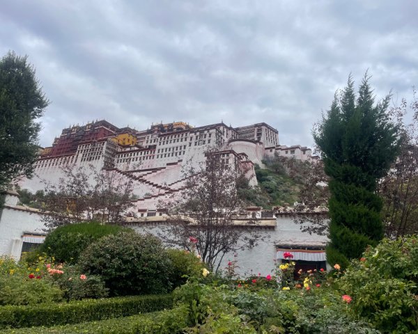 拉薩/布達拉宮-札達/古格王朝遺址皮央東嘎遺址-古寺廟2898523