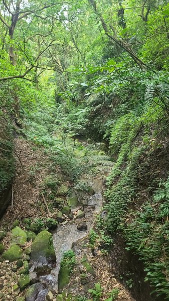 2026-0116 大屯三山_貴子坑_北投2984780