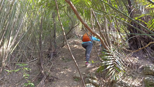 (姨婆趴趴走)第四十九集:攀登連走宜蘭梗枋山、橋板湖山2747724