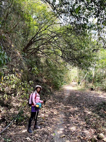 暗影山 西北稜上 南稜下 接仙女瀑布1317877