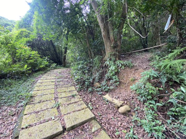 20250614-《皮皮獅秘密任務啟動！搶先探路三段崎古道｜森遊竹縣鐵粉任務大公開》2852022