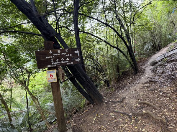 [微笑山線_第三段] 2026_0328 鳶山山系_鳶山彩壁3025683