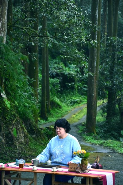2026.02.07~02.08阿里山健行 & 阿里山石棹森林茶席(嘉義/登山/JRJ紀錄分3010632