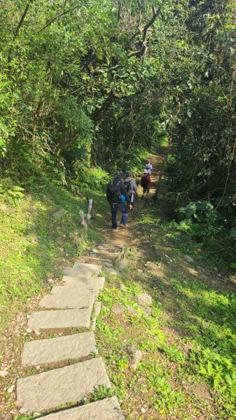 2025-0204 鶯歌_大凍山_三角埔頂山_迴龍2707921