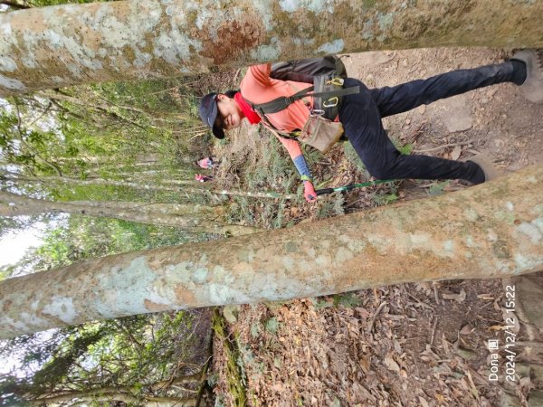 【谷關七雄】波津加(H1771.6m)肉腳配速成功2670523