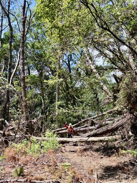 楠梓仙溪林道悠遊    2025.09.142886432