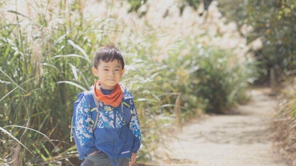 四歲小樂的第26座小百岳-新竹飛鳳山1172112