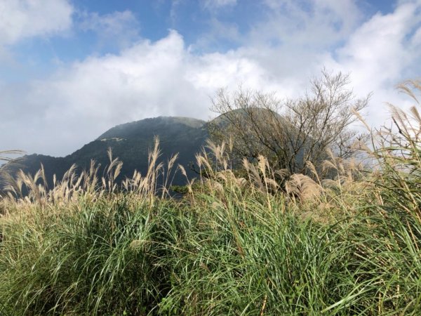 大屯山西峰542109