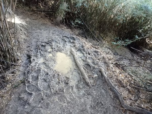 合歡西峰單攻1216979