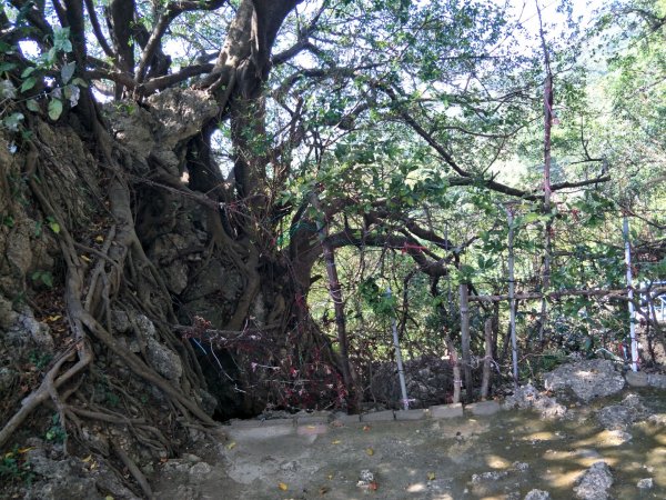 小百岳:南壽山十(海岸+少女峰+壽山+仙女山)1620839