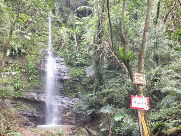 雙溪區百二階古道+苕谷瀑布+逸仙山+泰和樓P字走