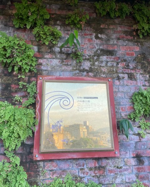 基隆尋找7隻傘人家族2712723