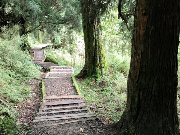 沼平上祝山環走大塔山1110749