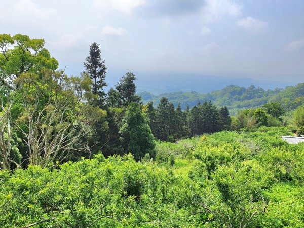 苗栗關刀山，出關古道（聖關段），鳴鳳古道，南隘勇古道，綠色古道，延平古道，新竹飛鳳山1674232