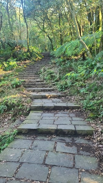 2026-0213 苗圃-凱達格蘭山-七星錐-七星山南峰-小油坑-竹子湖-水車寮步道-湖田猴崁步道-3005646