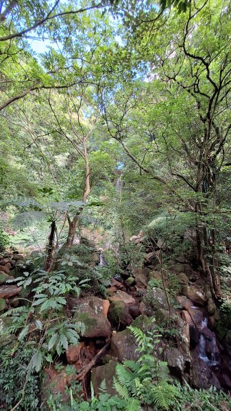 20251006 冷擎步道2917058