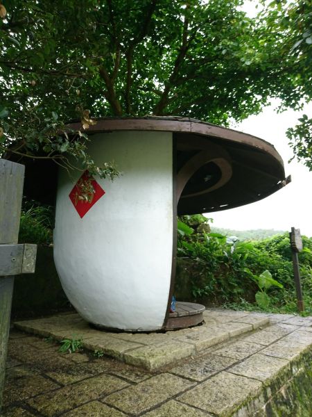 貓空樟樹步道 2017.05.21139504