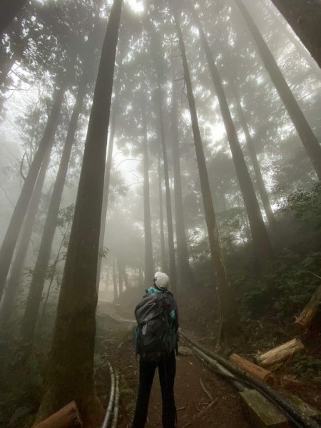 走一半的加里山1141248