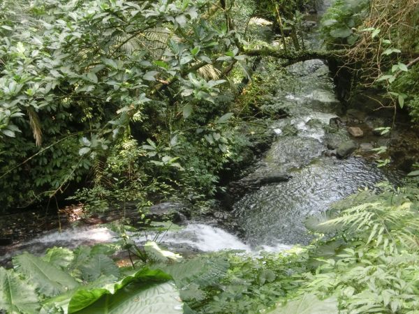 林美石磐步道．淡江蘭陽校區269001