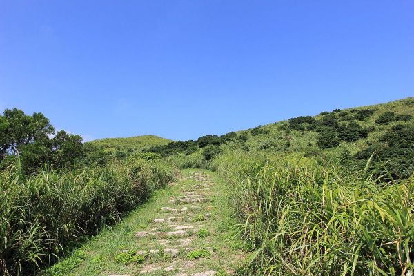 瑞芳南子吝登山步道204889