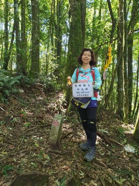 20190827-忘憂森林金柑樹嶺頭山663006