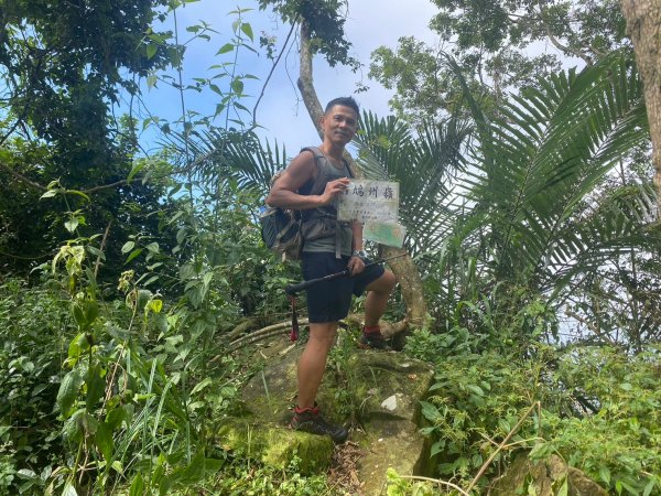 三寶山(烏心石山.鳩州嶺.尖凍山)步道【變成夢魘的大秘寶】2639858