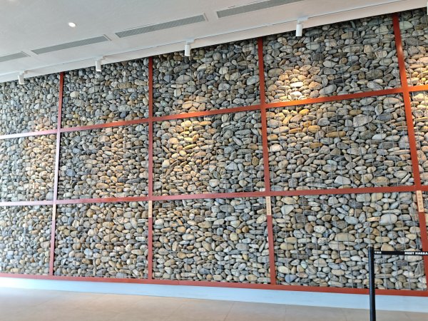 [霄裡好風光，運動樂悠遊！-2/10] 2025_0608 永安海螺文化館2808076