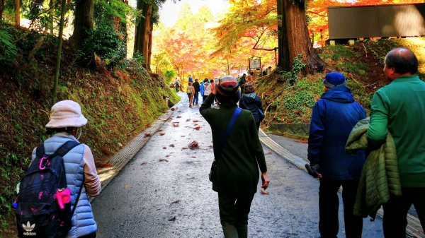 岩手縣中尊寺2930145