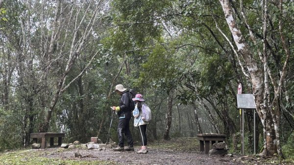 20260203小百岳月眉山鯉魚山2994867