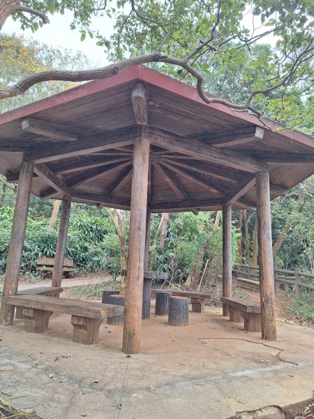 飛龍步道(崇聖亭起登)202401222696335