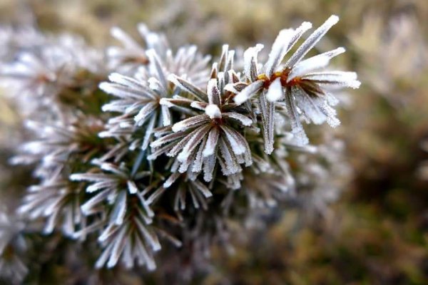 冰霜嘉明湖876727