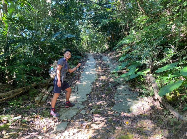 金面山.金山面山.十三份山.山麻坑山【暗藏玄機 不容你小覷的郊山縱走】2384826