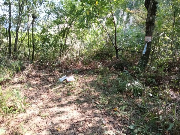 坪林區楣子寮尖+土地公遺址+火燒寮古道+枋山坑古道+枋山坑崙O型2985684