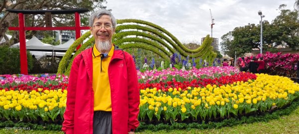 #士林官邸 #鬱金香 #中正紀念堂 #大漁櫻 2/283007889