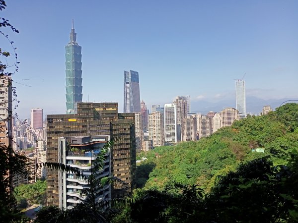 【南山神壽任務尋寶趣】國際化的象山親山步道1596531