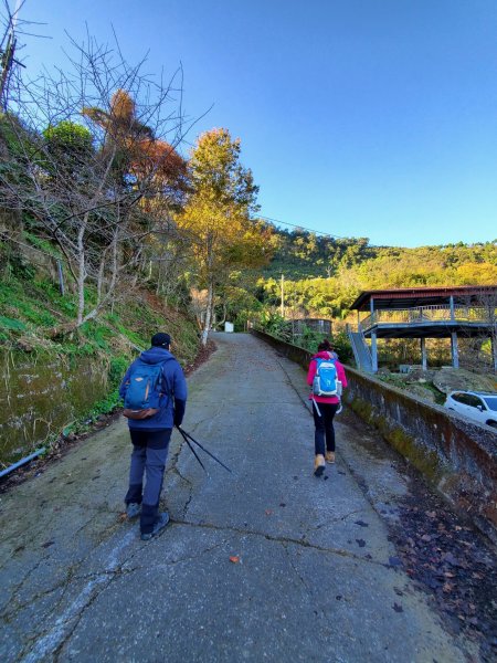 【苗粟 | 馬拉邦山】1227218
