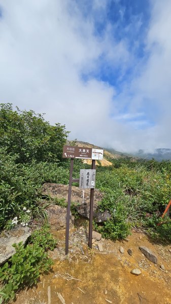 240810-藏王西端連峰熊野岳、馬之背、五色岳（御釜）、刈田岳縱走。美美兔第一次海外走山。2603725