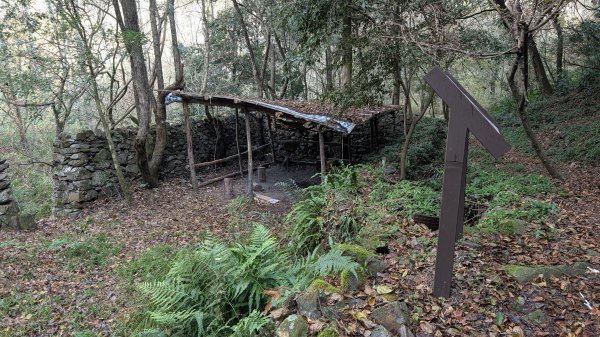 環山獵人登山步道3014387