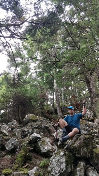 雪山 不下雪533115