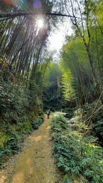 《雲林》石壁五元兩角木馬古道大O型202103201314234