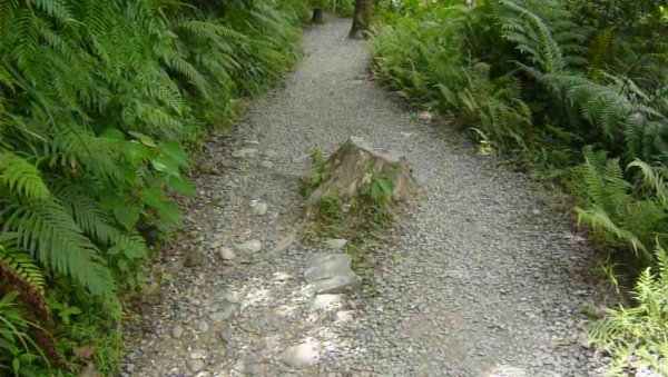 礁溪林美石盤步道643411