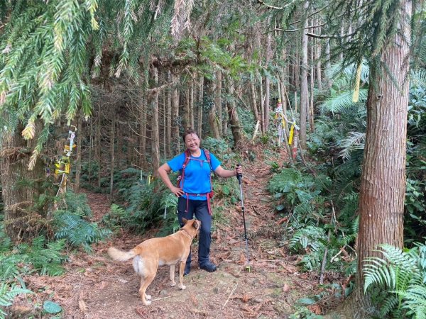 鵝公髻山（小百岳）鵝公髻山東北峰2449869