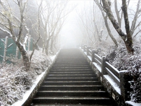 【新聞】上山賞雪吧！宜蘭太平山降瑞雪　銀白世界美到不行！