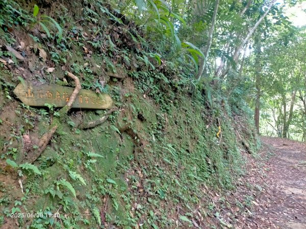 白石湖+打鐵寮古道2824174