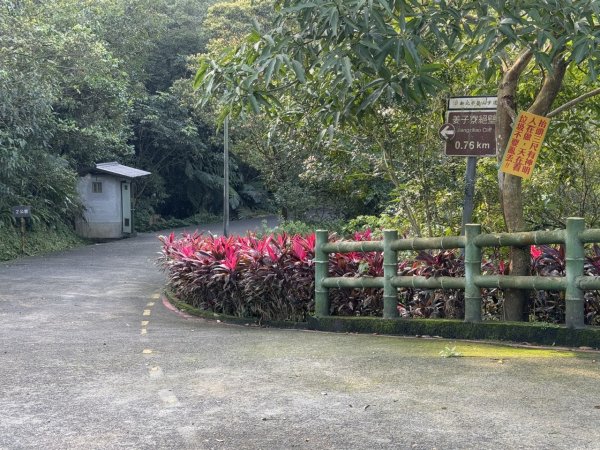 2025/02/17 姜子寮絕壁瀑布 姜子寮山2908676