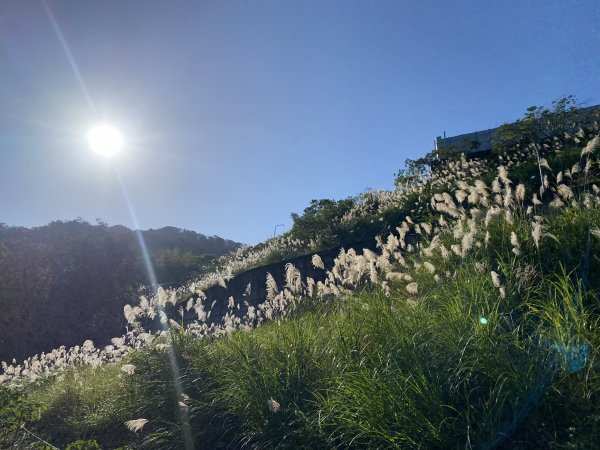 2025微笑山線大縱走尋寶集章任務-Ep.04【天上山系】望月亭桐花段｜石門內尖山東峰 ×石門內尖山 × 十八羅漢岩