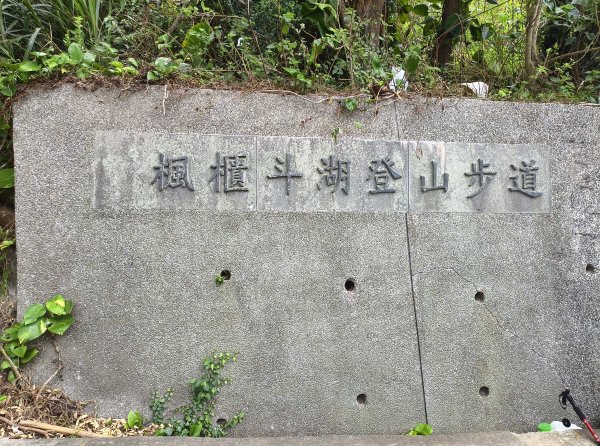 [百山百鳥尋旅-15/15] 2025_0929 硬漢嶺步道(觀音山)2900982