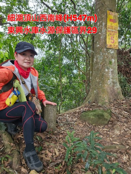 【苗栗郊山聖稜線】仙神象18連峰大縱走2675934